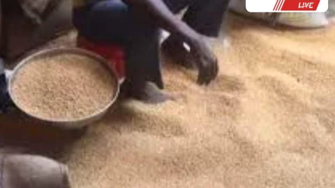 Sikar News : 50377 लोगों ने छोड़ा खाद्य सुरक्षा योजना लाभ, 220 अपात्र लोगों को नोटिस जारी