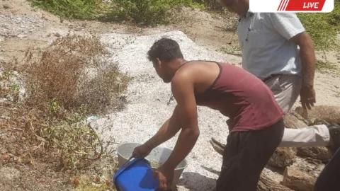 Churu : 10 खाद्य सैम्पल अमानक पाए गए, मिलावटखोरों पर होगी कार्रवाई