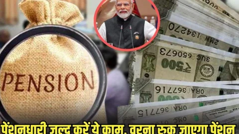 30 अक्टूबर तक करें ये काम वरना रुक जाएगी पेंशन, सरकार ने जारी किया आदेश