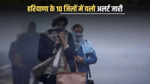 Haryana Weather Update : हरियाणा में 2 दिन कड़ाके की ठंढ के साथ धुंध की चेतावनी, जारी हुआ 10 जिलों में यलो अलर्ट, देखें पूर्वानुमान