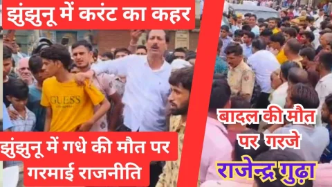 Video News – करंट से गधे की मौत पर झुंझुनू में गरमाई राजनीति, “बादल” की मौत पर गुढ़ा की गर्जना