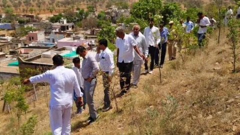 कलक्टर ने पौधारोपण करने की जिले वासियों से की अपील