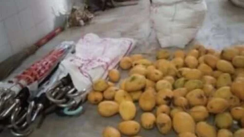 निर्जला एकादशी पर मंदिरों में आम, चीनी, छतरी की प्रदान