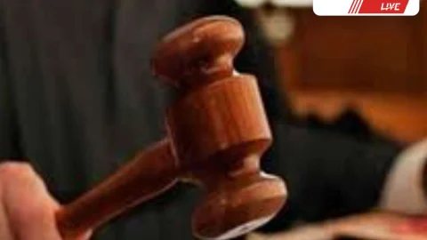 स्वतः संज्ञान : चूरू में रसायनयुक्त फल-सब्जियों पर सख्ती, निरीक्षण के निर्देश