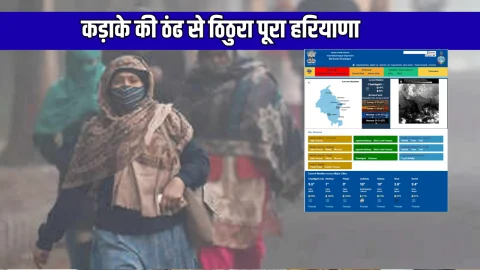 Haryana Weather Update : आज कड़ाके की ठंढ से ठिठुरा पूरा हरियाणा, नए साल से पहले इन जिलों में शीतलहर का अलर्ट जारी