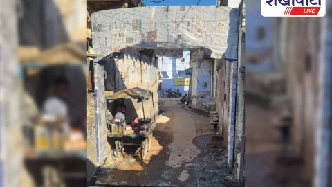 चिड़ावा में बावलिया बाबा तोरण द्वार का 28 दिसंबर लोकार्पण