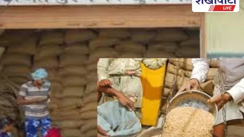 Sikar News: सीकर में उचित मूल्य दुकानों के लिए आवेदन शुरू