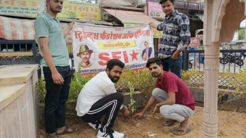 एसएफआई ने विभिन्न स्थानों पर लगाए पौधे