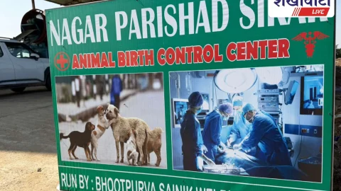 आवारा कुत्ता नियंत्रण के लिए ABC कार्यक्रम तेज़ी से जारी