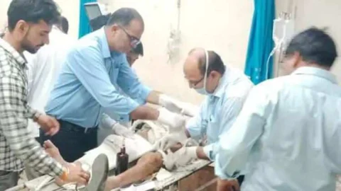 गाय को बचाने की कोशिश में कार पलटी