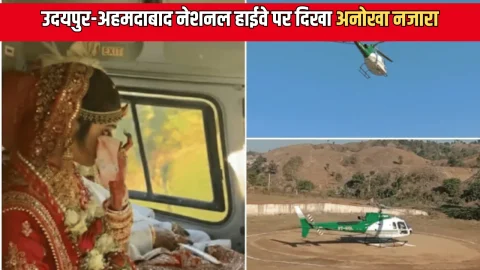 उदयपुर-अहमदाबाद नेशनल हाईवे पर दिखा अनोखा नजारा, मोके का लुत्फ़ उठाने के लिए पेड़ों पर चढ़े लोग