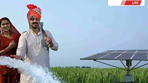 सोलर पंप संयंत्रों के निरस्त आवेदन 20 जून तक आवश्यक दस्तावेज अपलोड करने के लिए पुनः रीओपन