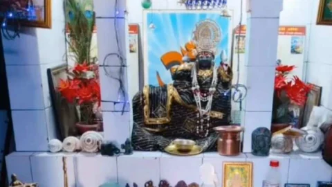 शनि देव जन्मोत्सव पर होंगे विशेष कार्यक्रम