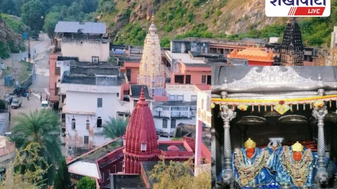 सकराय धाम में माँ शाकम्भरी का 19वां महामंगल महोत्सव शुरू