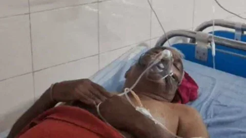 बुजुर्ग पर मधुमक्खियों का हमला : डॉक्टर्स ने निकाले 800 डंक