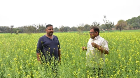 एमसीए करके ऑर्गेनिक खेती कर रहे चूरू के विकास रणवां