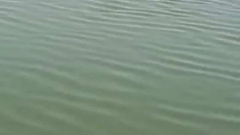 तालाब में शव मिलने से फैली सनसनी