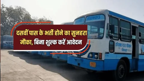 Haryana Roadways Jobs : हरियाणा रोडवेज में दसवीं पास के लिए भर्ती होने का सुनहरा मौका, बिना शुल्क करें आज ही आवेदन