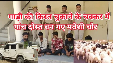 Video News – गाड़ी की किश्त चुकाने के चक्कर में पांच दोस्त बन गए मवेशी चोर
