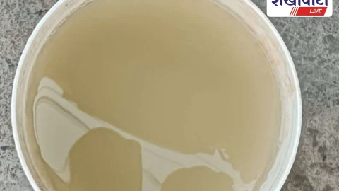 Jhunjhunu News: झुंझुनूं में दूषित पेयजल सप्लाई से जल आपूर्ति व्यवस्था पर खड़े हुए सवाल