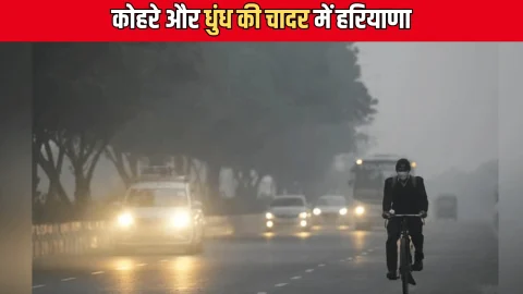 Haryana Weather Update: कोहरे और धुंध की चादर में हरियाणा, सिरसा समेत कई जिलों धीमी पड़ी वाहनों की रफ्तार, अरसे बाद दिखी किसानों के चेहरे पर मुस्कान