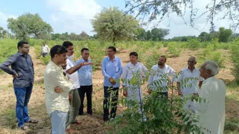 दांतारामगढ़ विधायक ने एक लीटर पानी की तकनीक से लगे पौधों को देख की सराहना