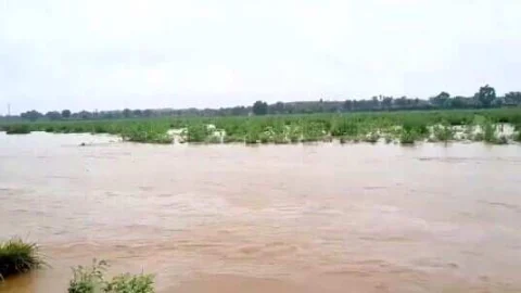 काटली नदी बहाव क्षेत्र में अब अवैध अतिक्रमण हटने की जगी आश