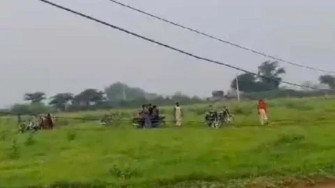 करंट की चपेट में आया ऊंट, मौके पर ही मौत