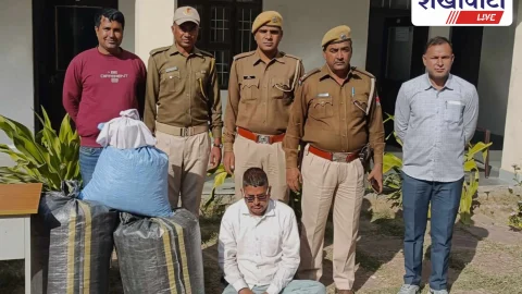 Sikar News: अफीम–गांजा जब्ती, पुलिस ने तस्कर पकड़ा