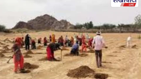 Sikar News: मनरेगा श्रमिकों के कार्य समय में बदलाव