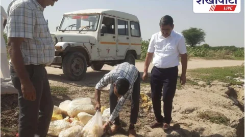 Churu News: खाद्य सुरक्षा टीम की कार्रवाई, 132 किलो मावा नष्ट