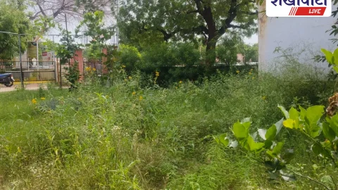 Jhunjhunu: PRO परिसर अस्त – व्यस्त, जिला सूचना एवं जनसंपर्क अधिकारी झुंझुनू खुद का कक्ष सजाने में व्यस्त