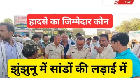 Jhunjhunu Video News – झुंझुनू में सांडों की लड़ाई से सफाईकर्मी की मौत