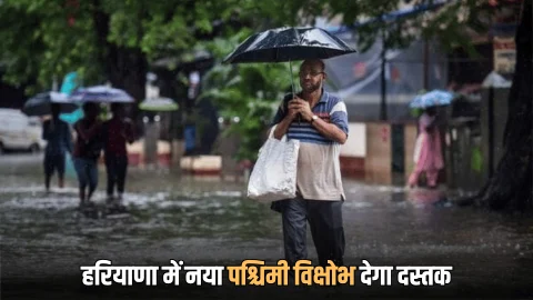 Haryana Weather : हरियाणा में आज से नया पश्चिमी विक्षोभ देगा दस्तक, लगातार 3 दिन तक होगी भारी बारिश! देखें पूर्वानुमान