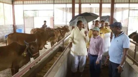 एसडीएम ने गौशाला गौसंवर्धन का किया निरीक्षण