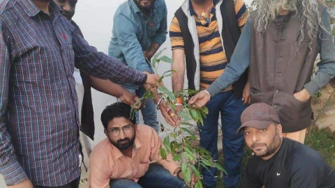 शर्मा के जन्मदिवस पर सुल्ताना मुक्तिधाम में किया पौधरोपण
