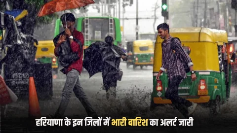 Haryana Weather Update: हरियाणा में फिर मानसून की वापसी! आज इन जिलों में अलर्ट जारी, यहां जानें अपने शहर का हाल…