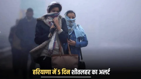Haryana Weather Alert : हरियाणा में 5 दिन शीतलहर का अलर्ट, इन जिलों के तापमान में रिकॉर्ड गिरावट, देखें पूर्वानुमान
