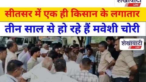 Video News: सीतसर में एक ही किसान के लगातार तीन साल से हो रहे हैं मवेशी चोरी