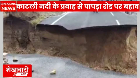 Video News: शेखावाटी की लाइफ लाइन लहराई, काटली नदी आई!