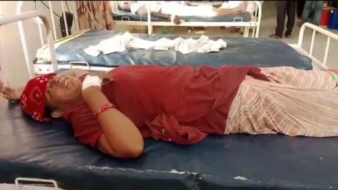 महिला को जहरीले सांप ने डसा, गंभीर हालत में कराया भर्ती