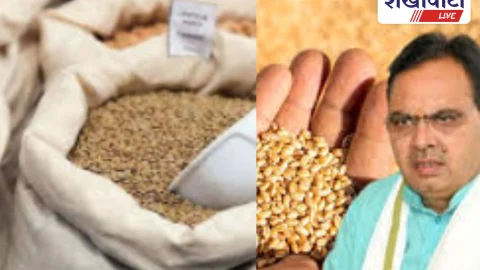 Sikar News: 2.14 लाख लोगों ने छोड़ा खाद्य सुरक्षा योजना का लाभ