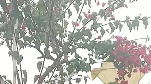 सुबह हुई मावठ की हल्की बारिश