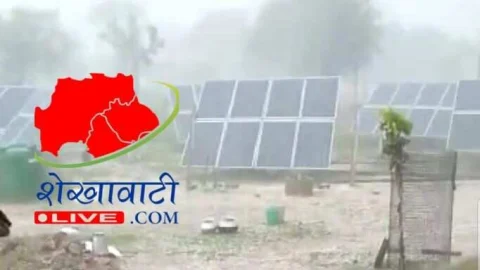 बीमा कंपनी को फसल खराबे की सूचना दें किसान