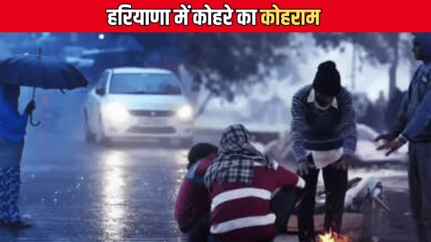 Haryana Weather : हरियाणा में कोहरे का कोहराम, विजिबिलिटी शून्य, 16 जिलों के लिए अलर्ट जारी, ये ट्रेनें चल रही है देरी से