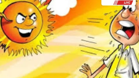 अधिक प्यास लगना, सिरदर्द व त्वचा का सूखा होना है लू-तापघात के लक्षण