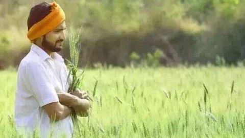 अब किसान स्वयं गिरदावरी कर सकेंगे