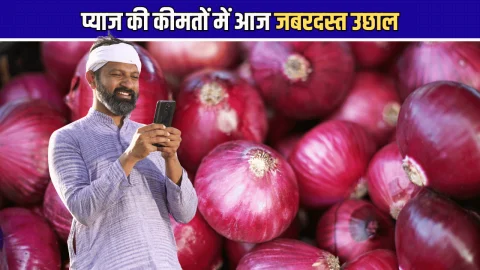 Onion Price Hike: प्याज की कीमतों में आज जबरदस्त उछाल, किसानों को मिली बड़ी राहत