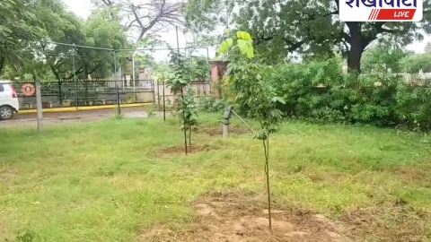 Jhunjhunu News: PRO परिसर : जिम्मेदारों ने मूंदी आंखें तो पत्रकारों ने संभाली कमान