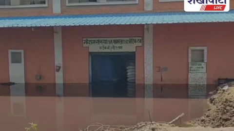 सुजानगढ़ के एफसीआई गोदाम में जलभराव से सरकारी अनाज खराब होने का खतरा